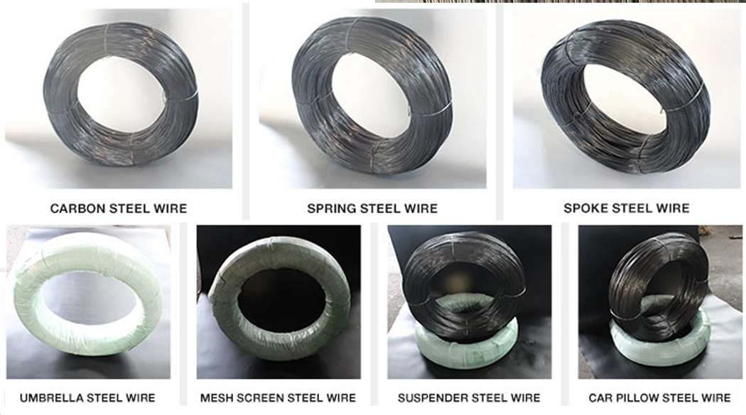 Customization 0.7mm Cold Rolled Galvanized Stainless Steel Wire for Shaped