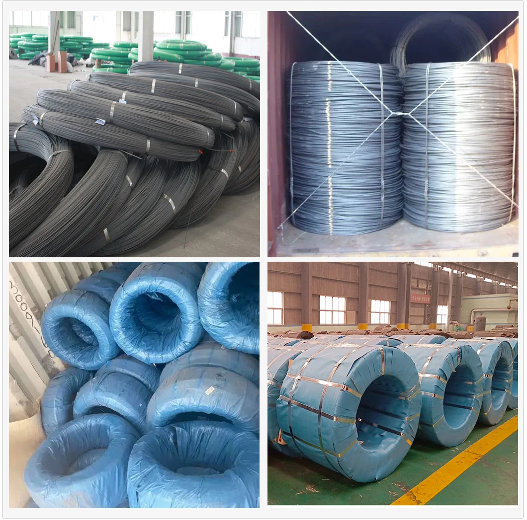 Low Carbon SAE 1006/SAE1008 Cold Heading Steel Wire Rod for Cold Drawn Wire, Nails Wire 4 Gauge Wire Rod 10b21 High Carbon Alloy Plain Wire Rod in Coil